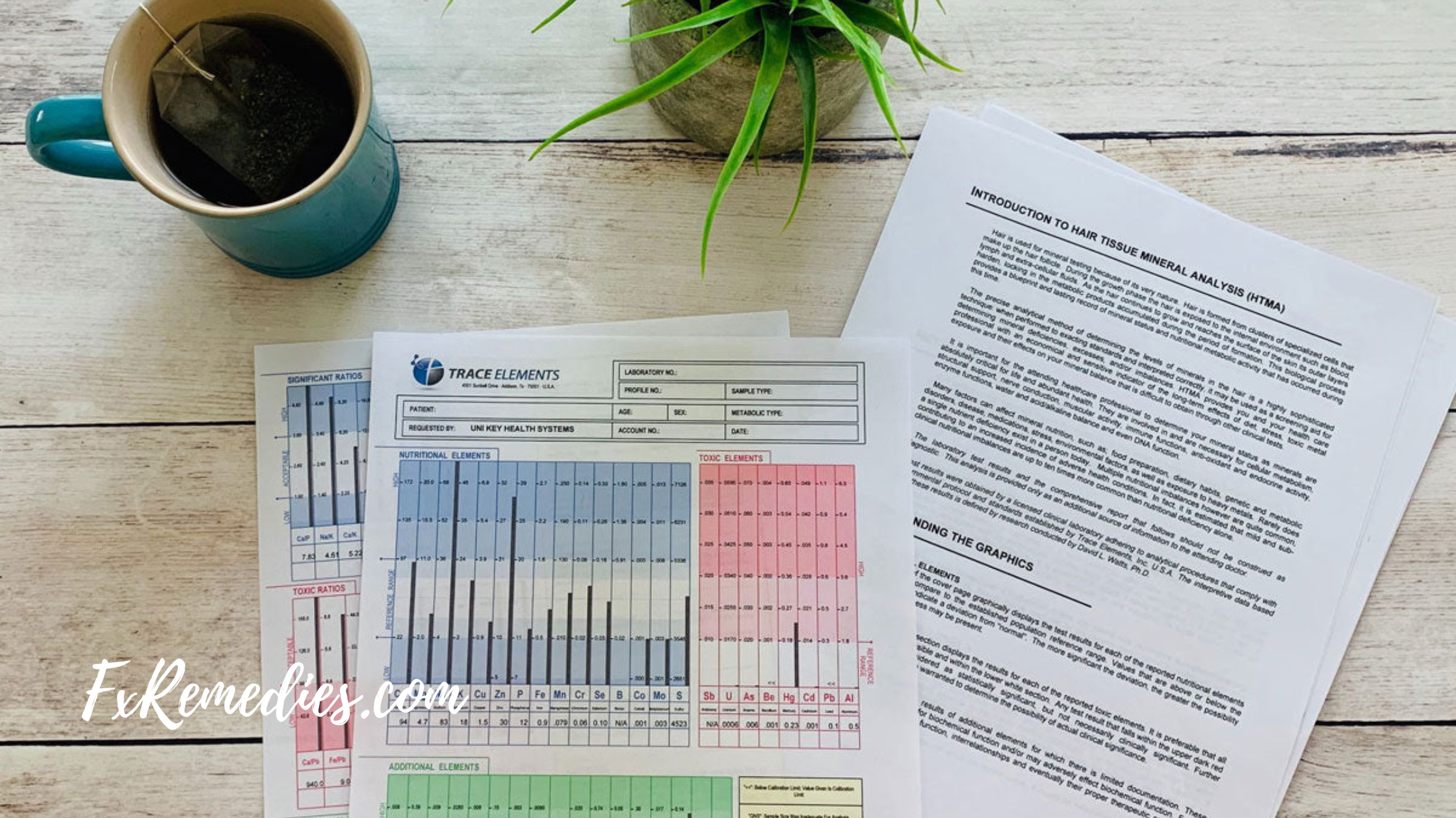 In this article we share how the HTMA test can help you understand your body's nutritional and mineral needs. In today's fast-paced world, maintaining optimal health has become more challenging than ever before. 